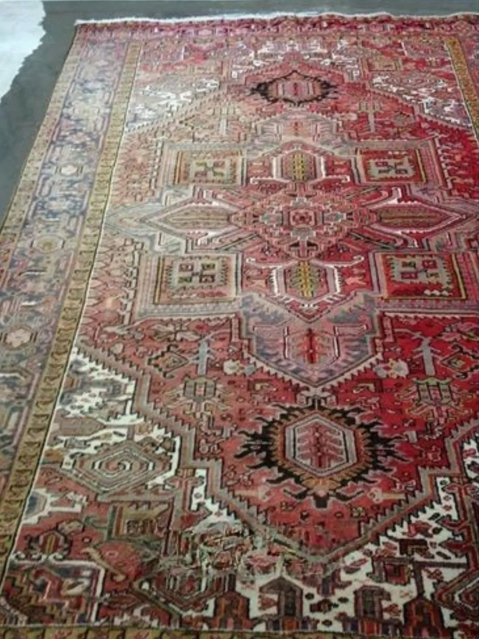 Before Area Rug Cleaning ()