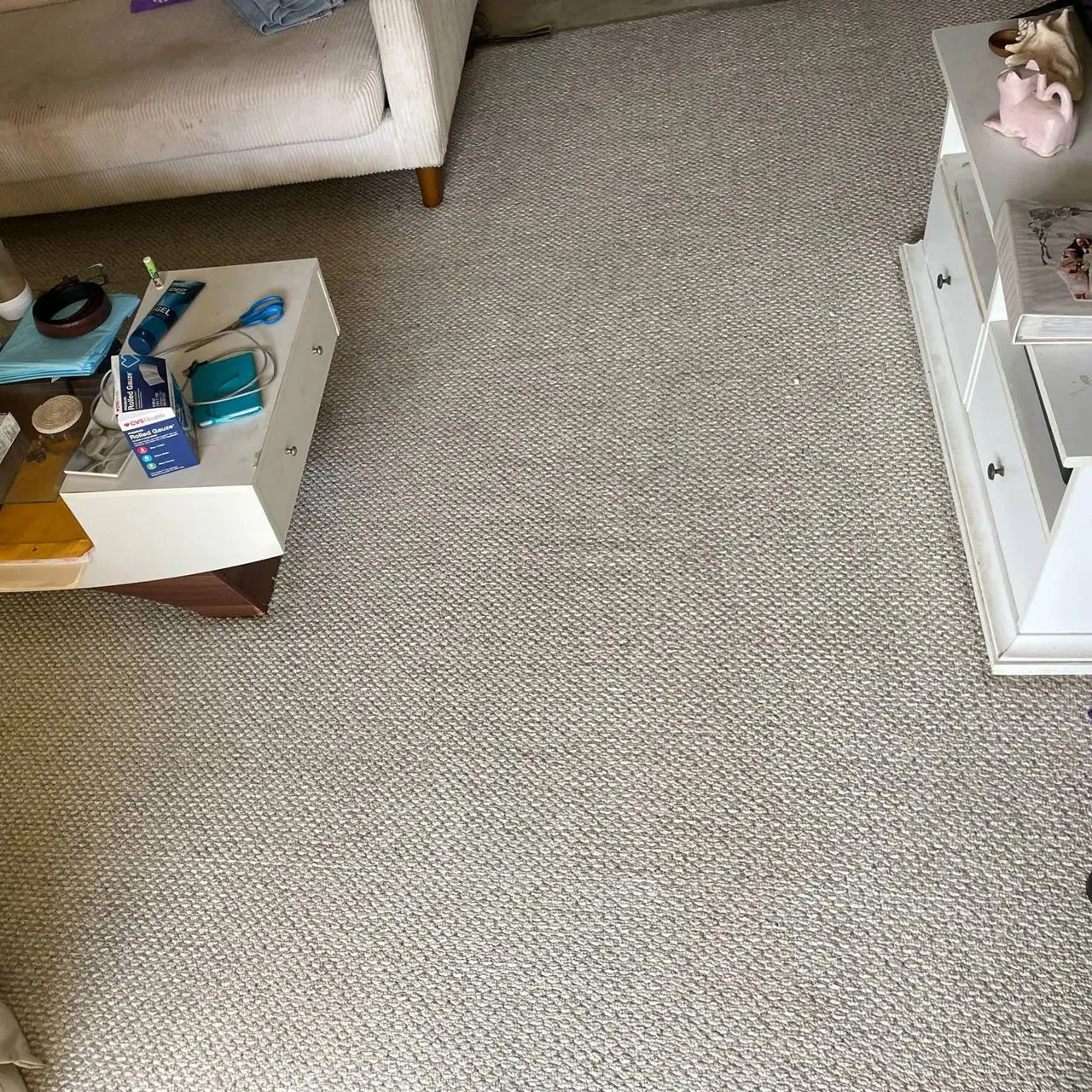 Professional Carpet Cleaning