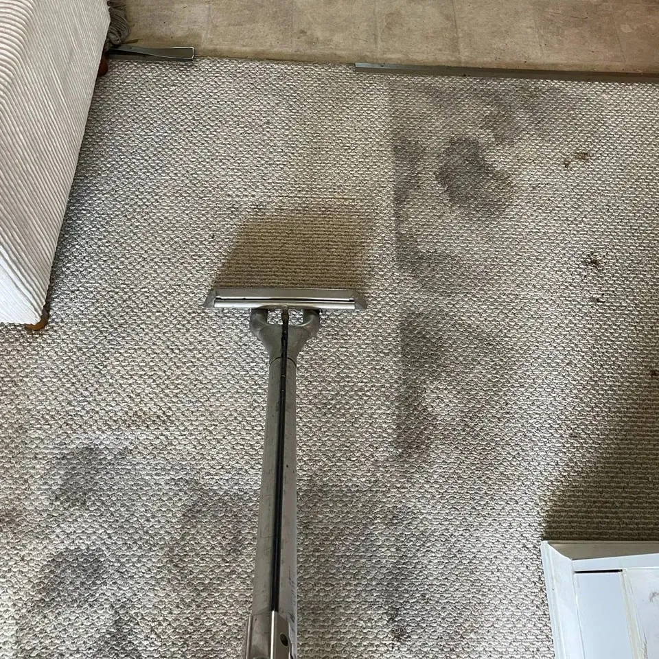 Professional Carpet Cleaner
