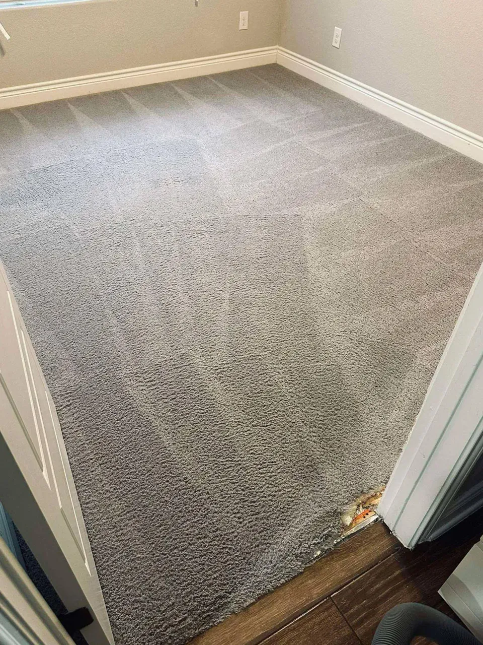 Carpet Cleaning After