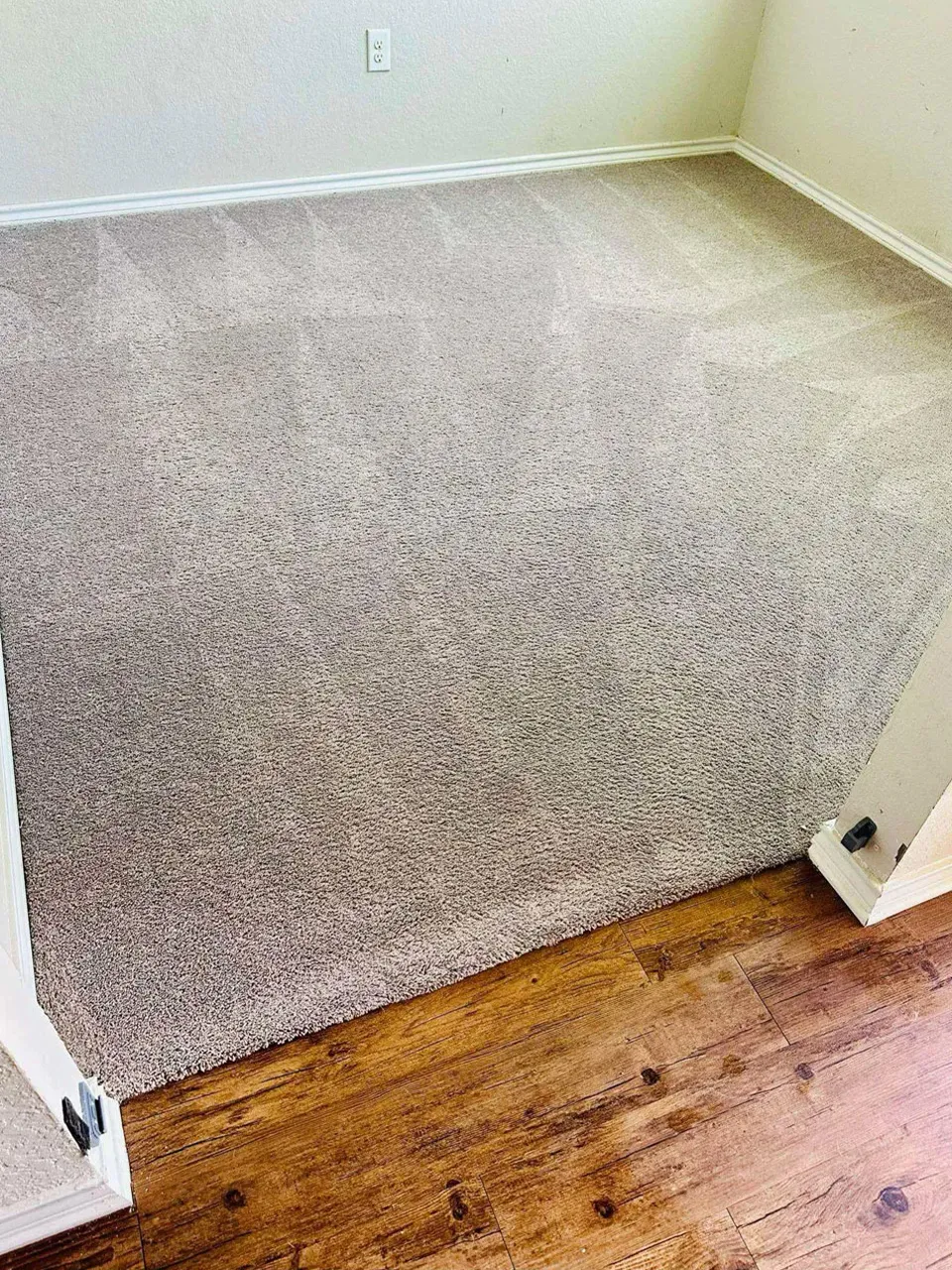 Carpet Cleaning After