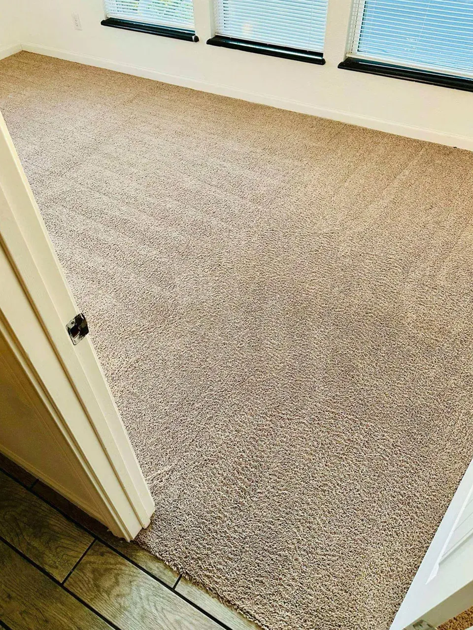 Carpet Cleaning After