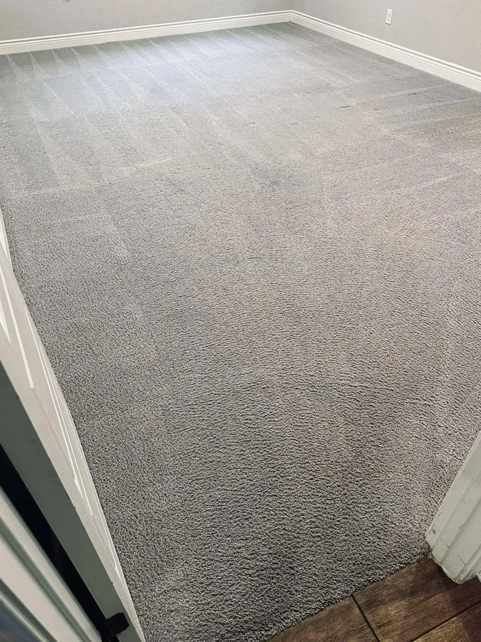 Carpet Cleaning After