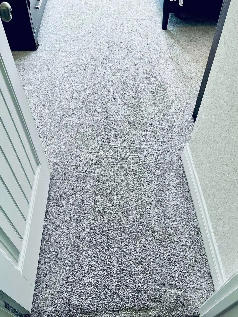 Carpet Cleaning After