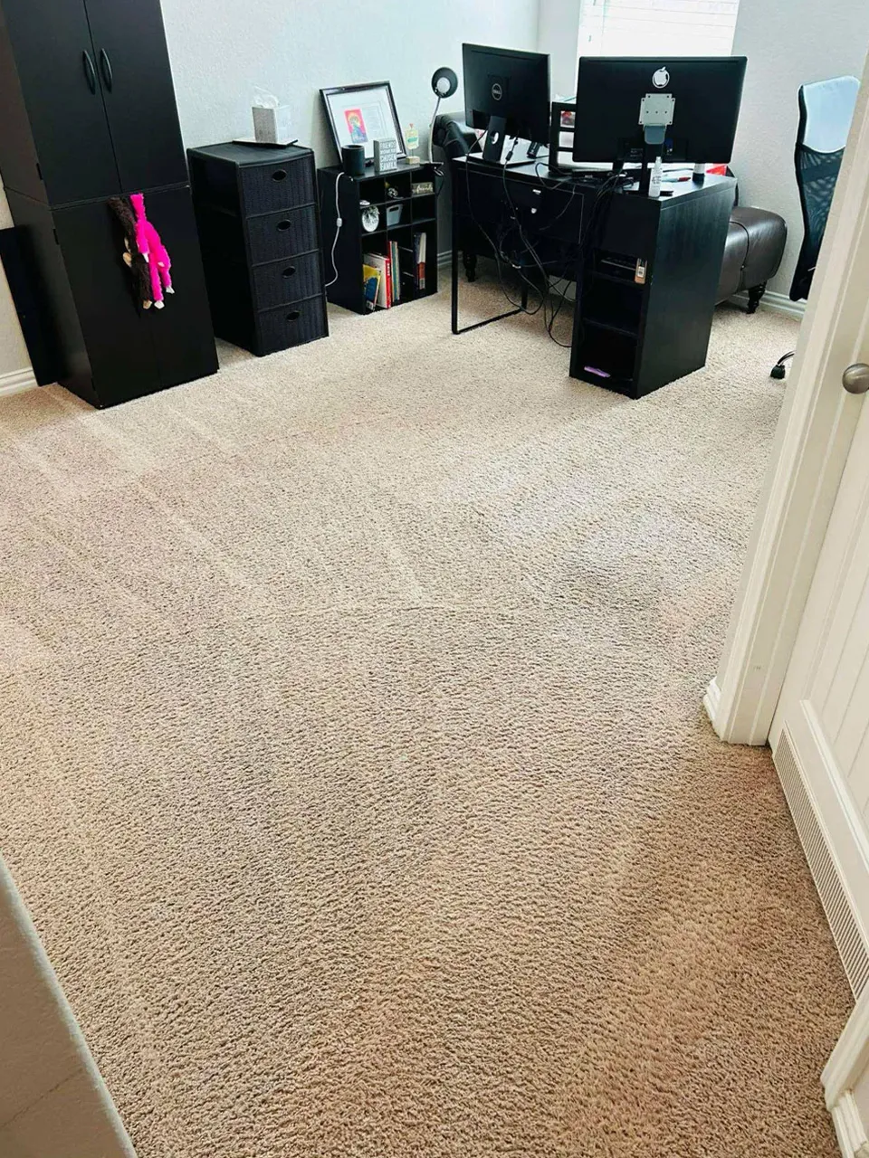 Carpet Cleaning After