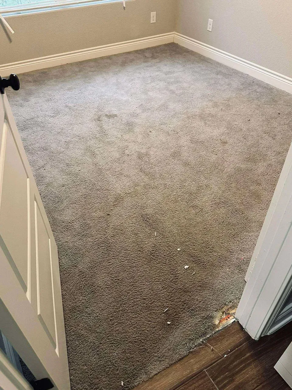 Carpet Cleaning Before