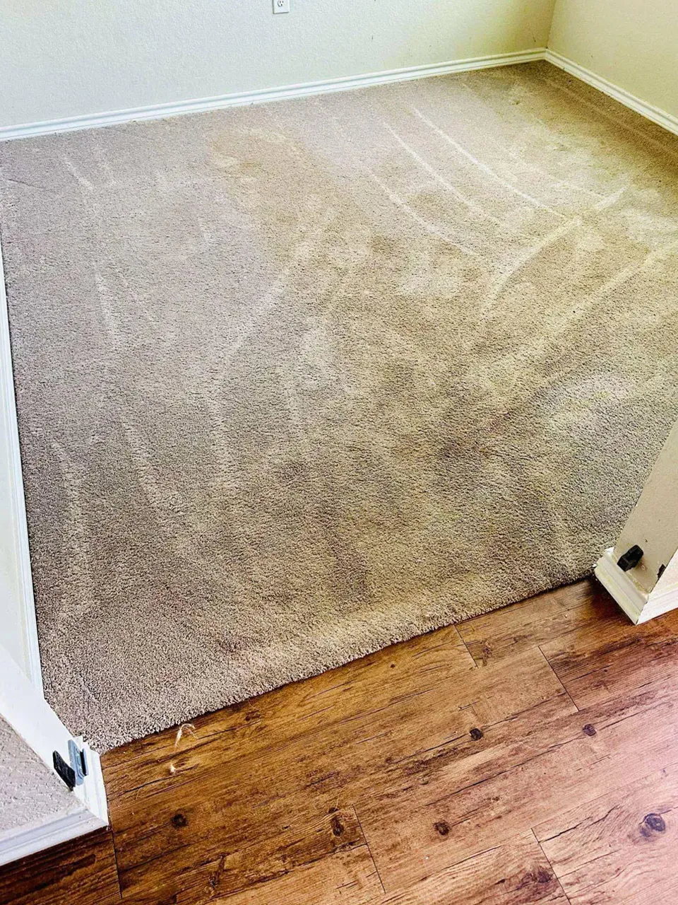 Carpet Cleaning Before
