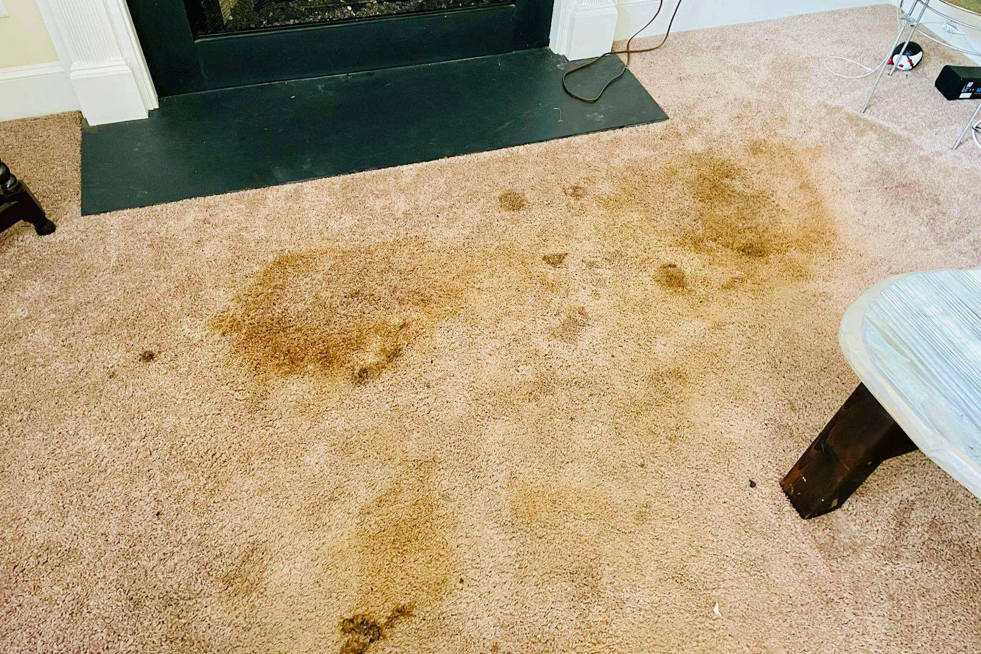 Carpet Cleaning Before
