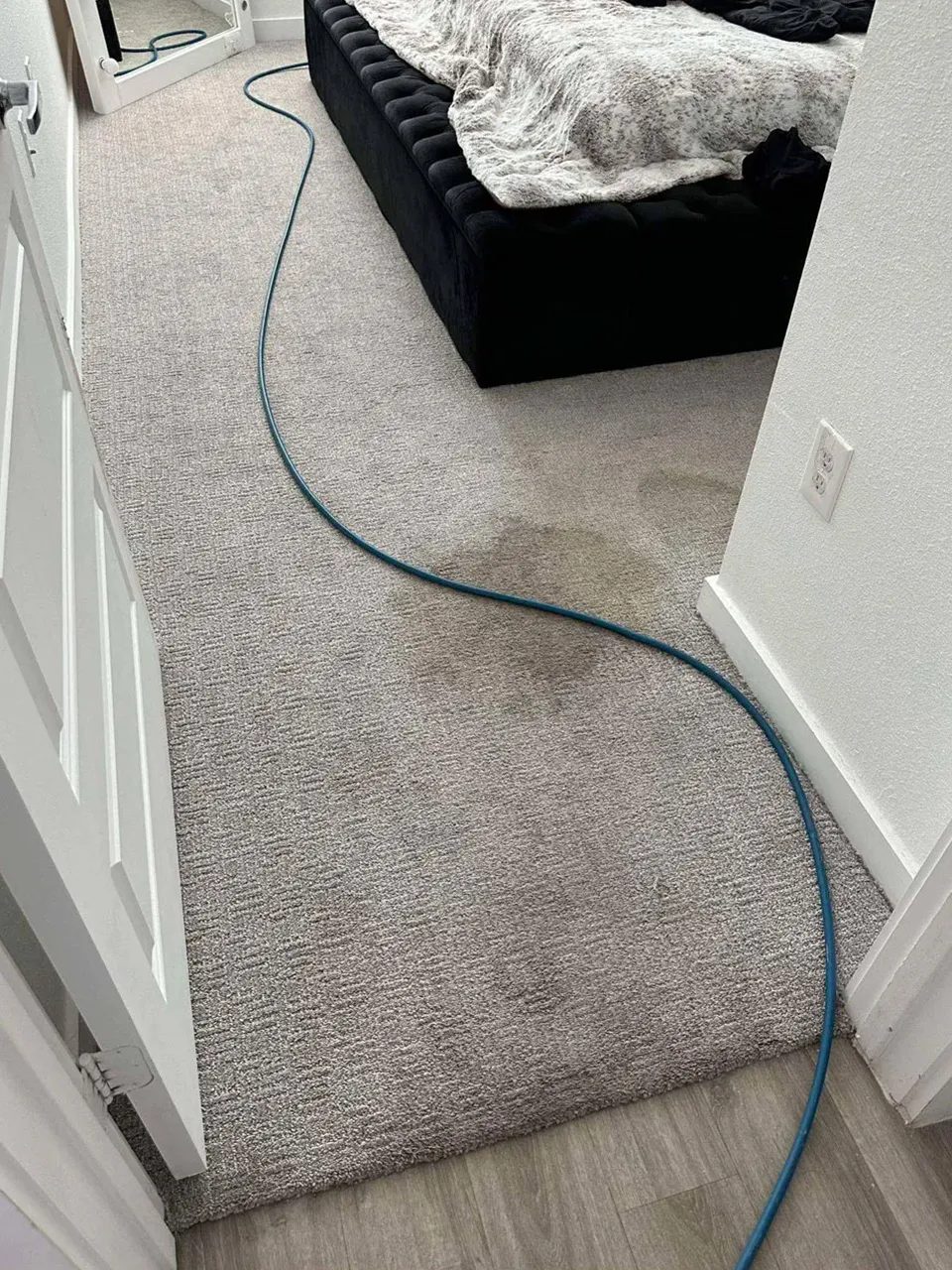 Carpet Cleaning Before