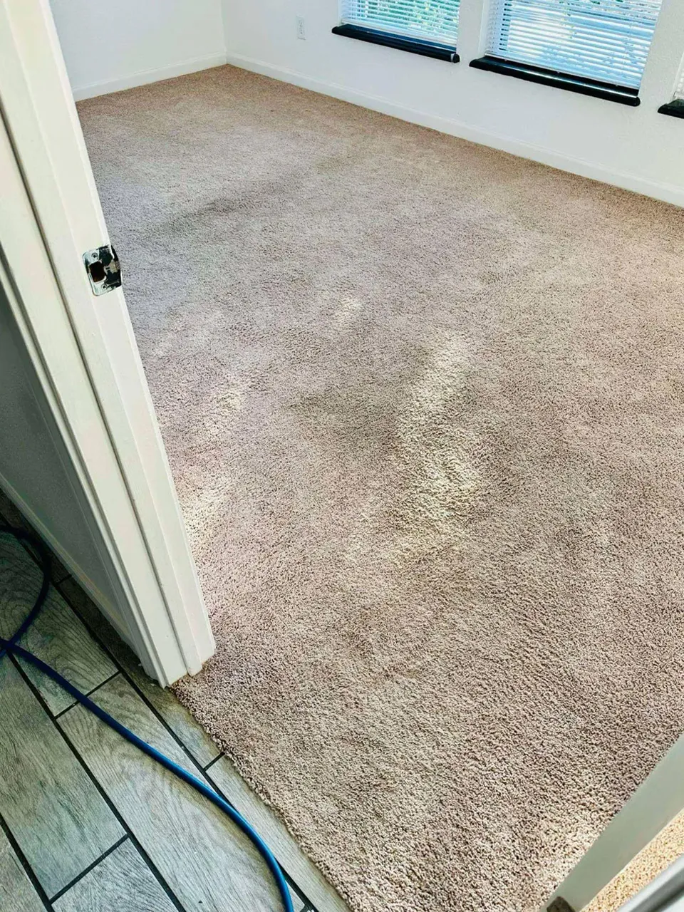 Carpet Cleaning Before