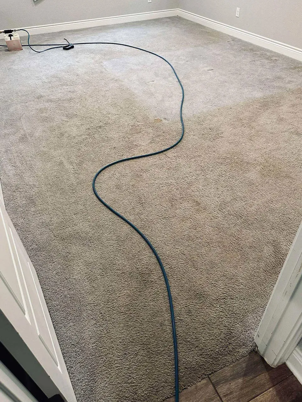 Carpet Cleaning Before