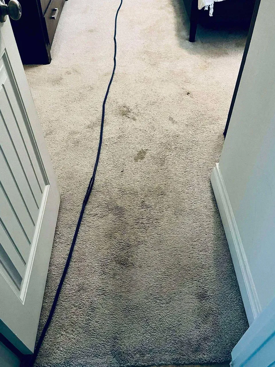 Carpet Cleaning Before