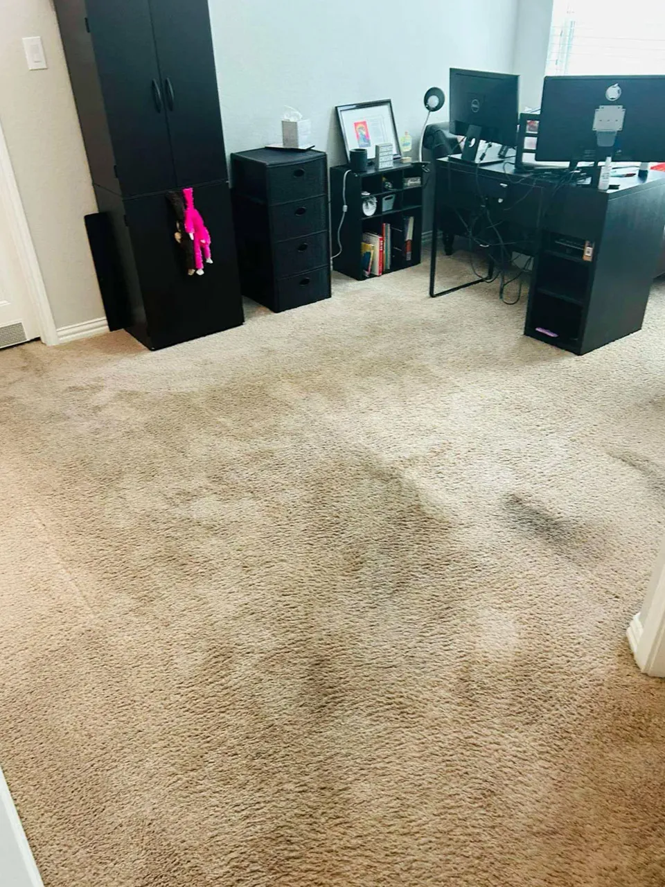 Carpet Cleaning Before