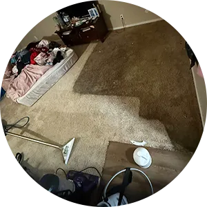 Carpet