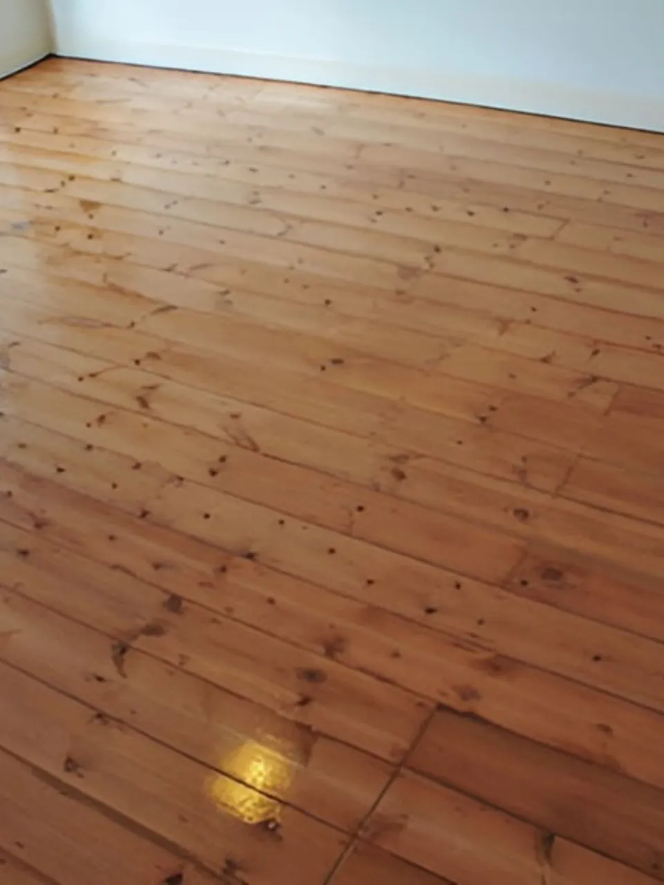 Hardwood Floor Cleaning After ()