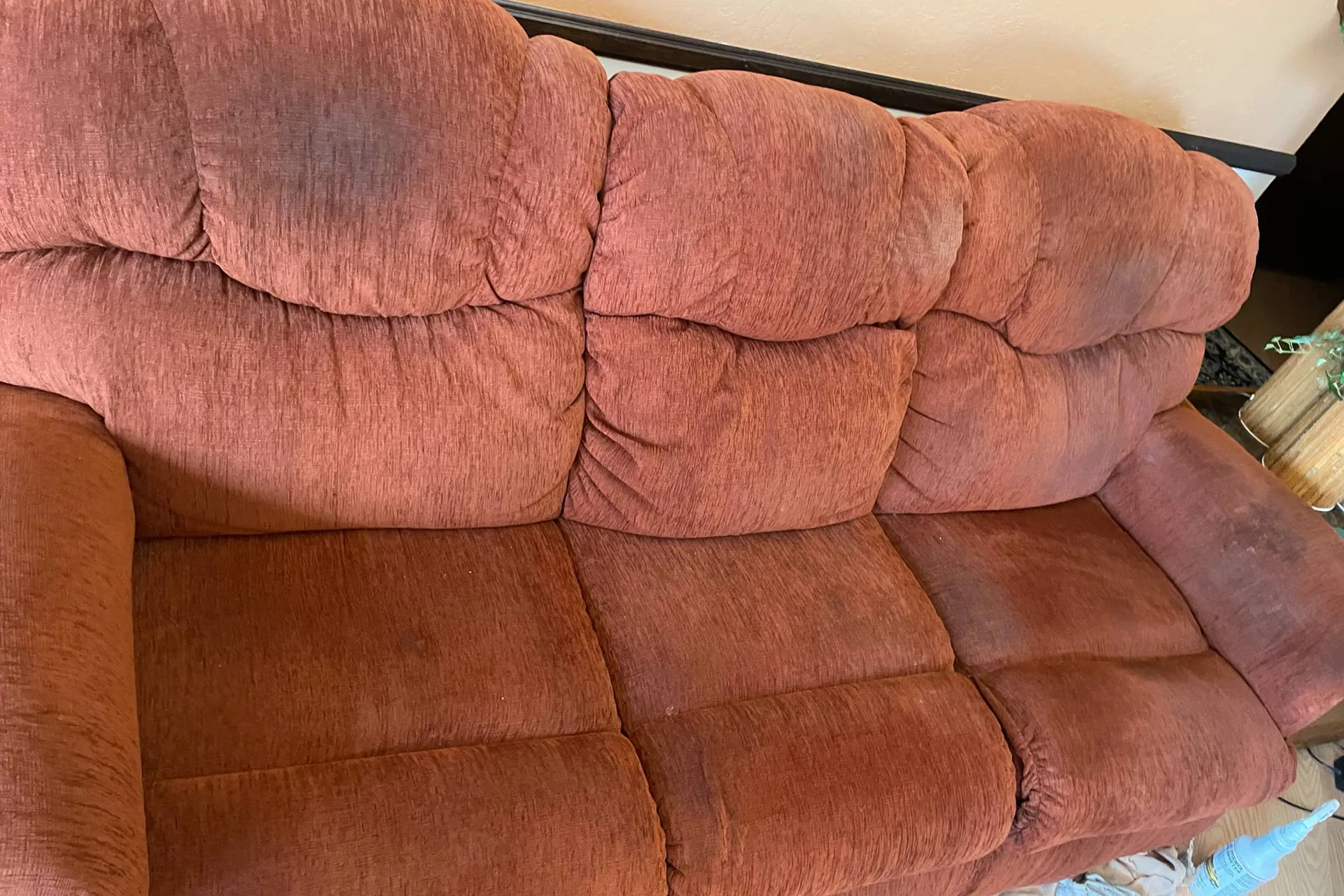 Upholstery Cleaning Before
